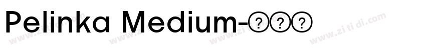Pelinka Medium字体转换